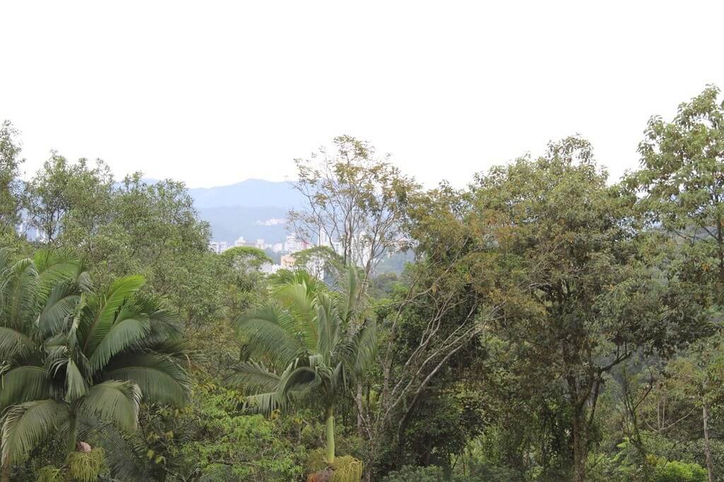 bairro Ceramica Reis em Brusque