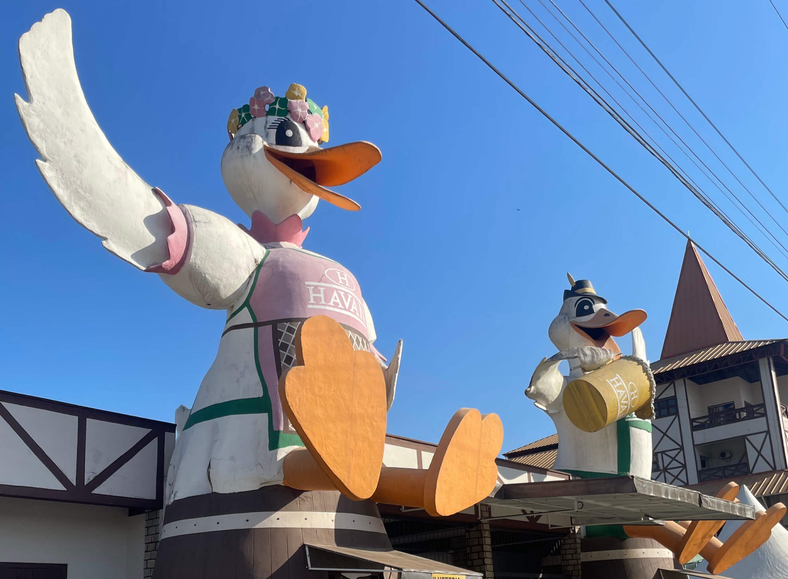 Bairro Ponta Russa em Brusque